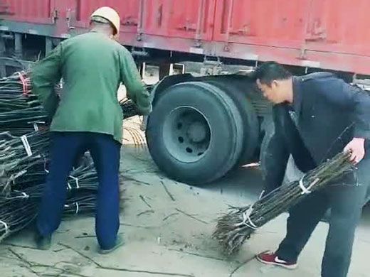 裝車現場
