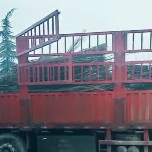 裝車現場